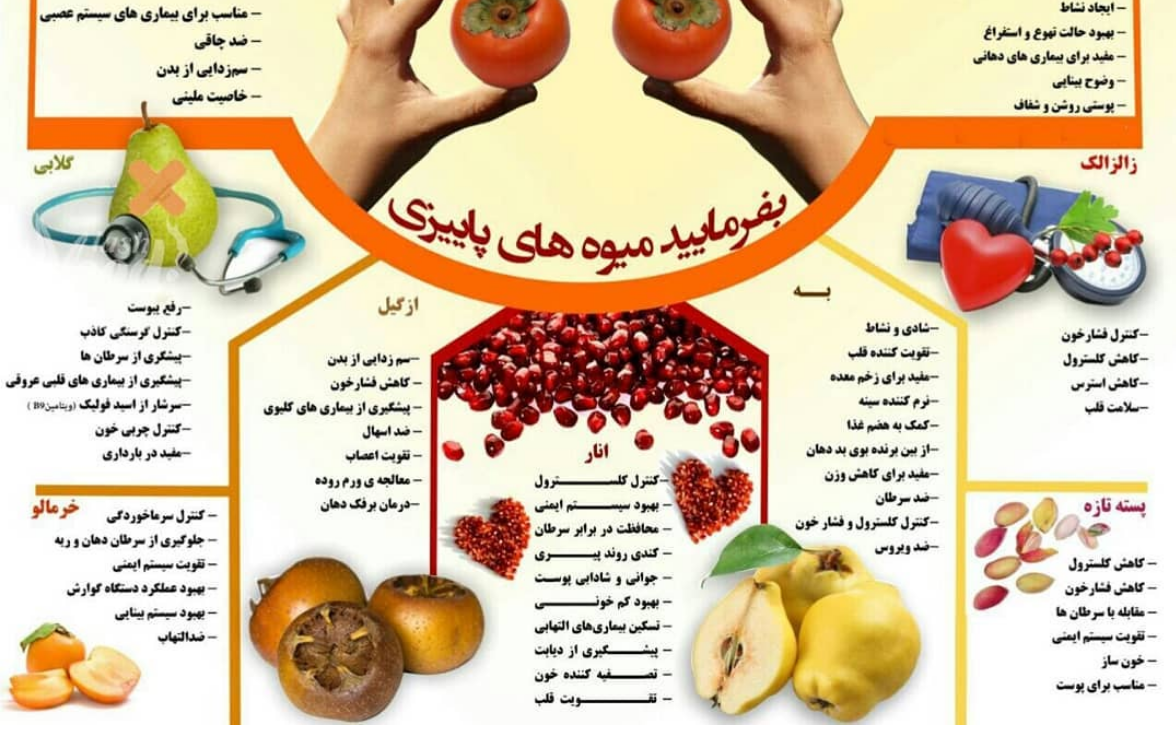حواص خوراکی های پائیزی+اینفوگرافی حواص خوراکی های پائیزی+اینفوگرافی