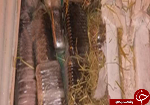 کشف حدود ۴ تن مواد مخدر توسط تکاوران ستاد انتظامی نیکشهر+تصاویر