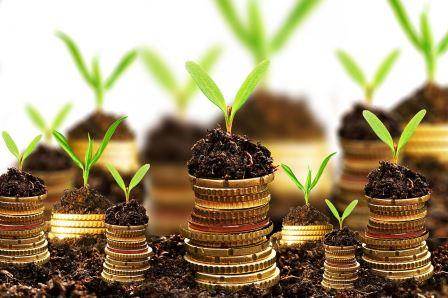 سرمایه گذاری در کدام بخش کشاورزی سودده تر است؟