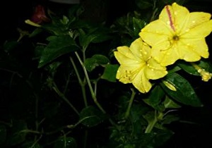 اولین رگبارهای پاییزی در خراسان جنوبی