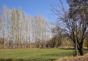 پیش بینی جوی پایدار طی سه روز آینده
