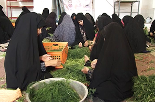 خدمت رسانی مردم یزد به زائران اربعین تا دپوی سیب درختی در کنارجاده&zwnj; + فیلم