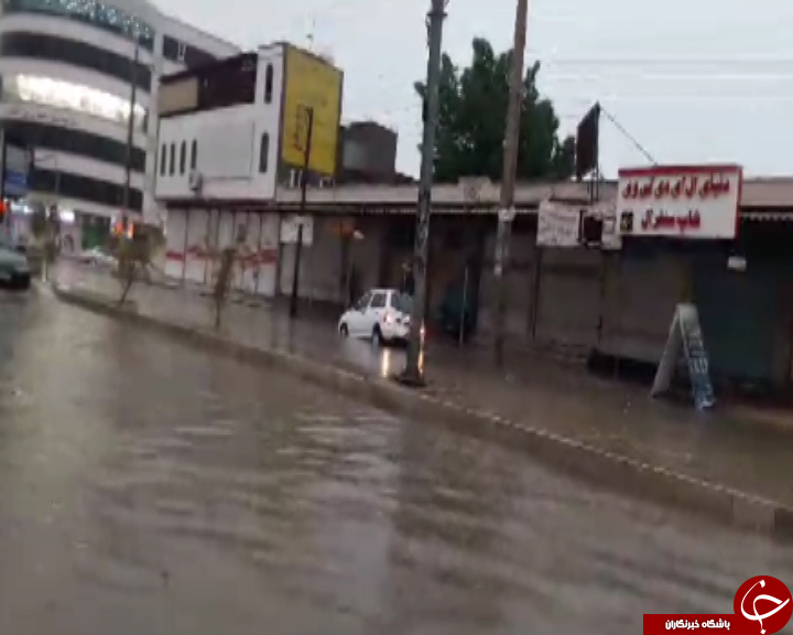 بارش باران و وزش تندباد در برخی نقاط استان بوشهر