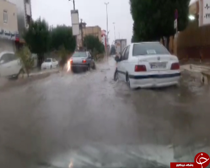تعطیلی مدارس دیلم در نوبت صبح؛ بارش ۵۷ میلیمتر باران در گناوه