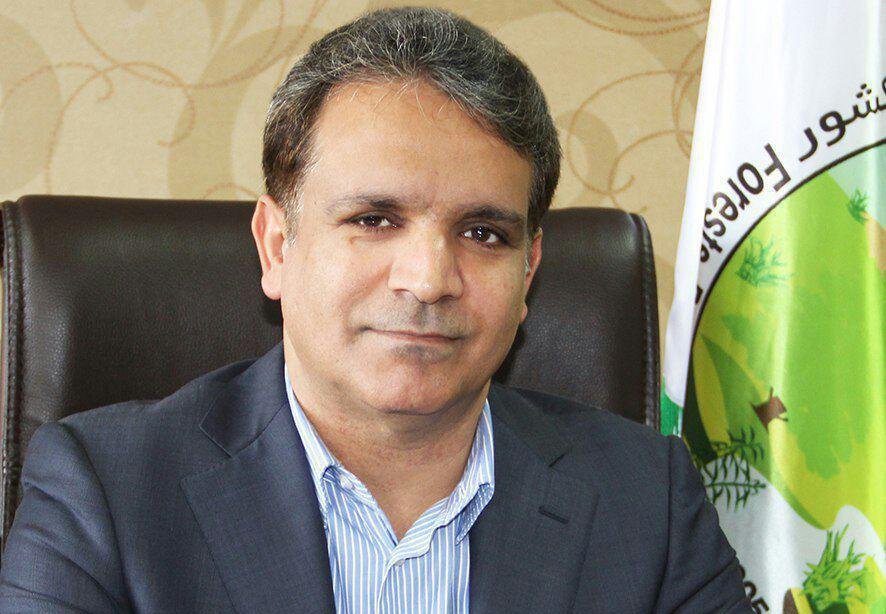 اجرای طرح کاداستر اراضی ملی با اخذ 98 درصد سند تک برگ بنام دولت در جنوب کرمان