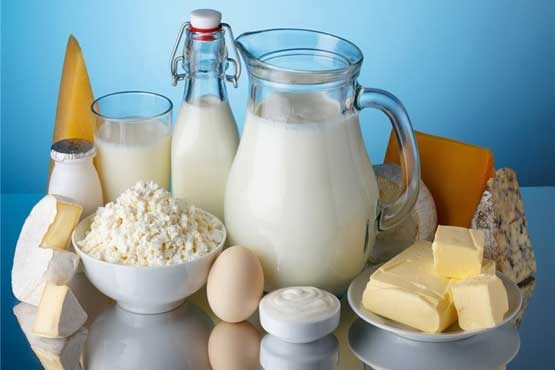 شیر و لبنیات پرچرب عامل چاقی ایرانیان/ سرانه مصرف لبنیات در کشور پایین است