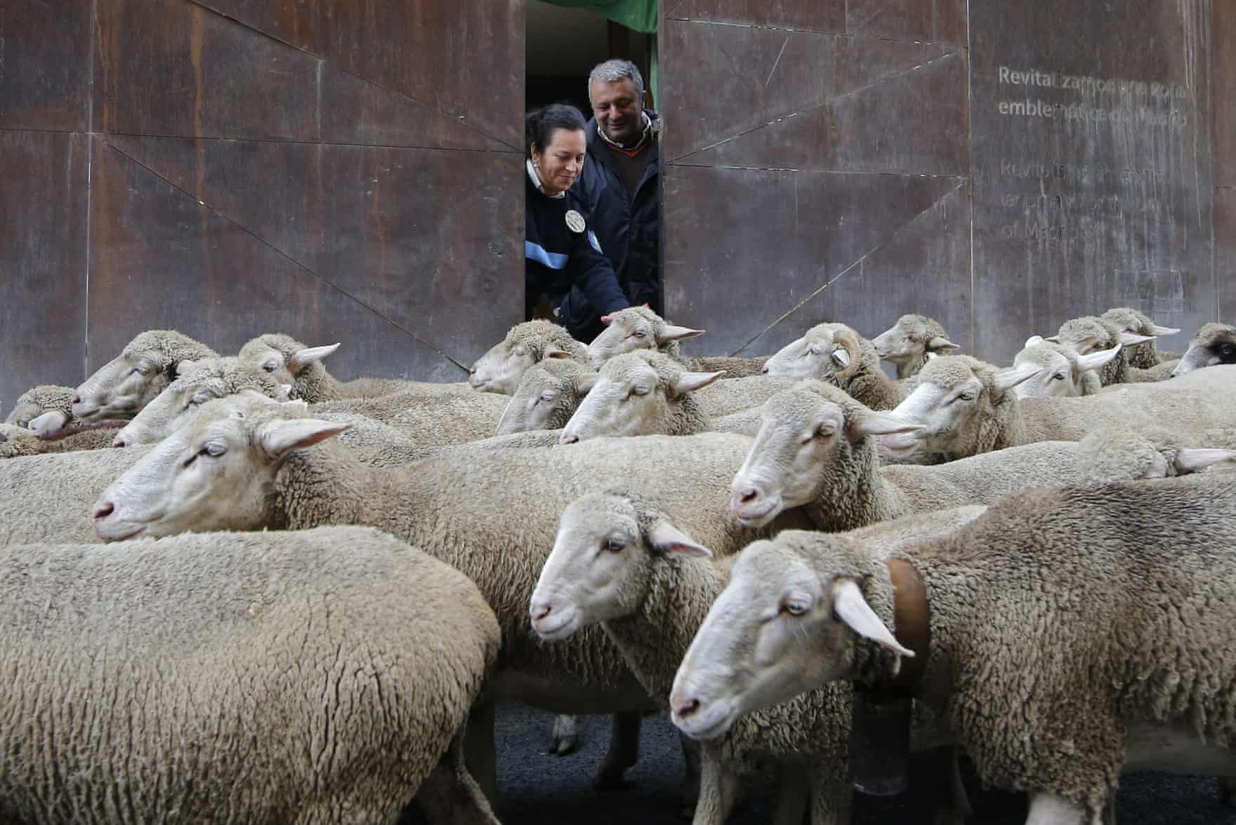 تصاویر روز: از پرواز یک هواپیما بر فراز شعله&zwnj;های آتش در تگزاس تا برگزاری رژه روز مردگان در مکزیک