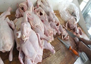 نکاتی ساده اما کاربردی در خرید مرغ/  آیا ارزش غذایی مرغ های درشت بیشتر است؟ + فیلم
