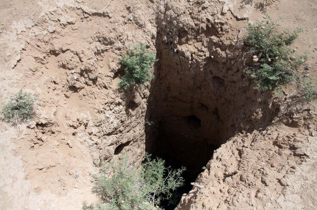 دستگیری حفاران غیرمجاز میراث فرهنگی در جزیره خارگ