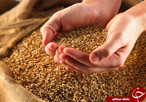 نگاهی گذرا به مهمترین رویداد&zwnj;های سه شنبه ۳ مهر در مازندران
