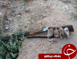 متخلف زیست محیطی در کوهدشت دستگیر شد