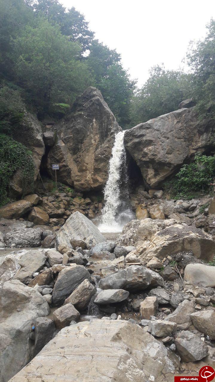 طبیعت زیبا و سرسبز 