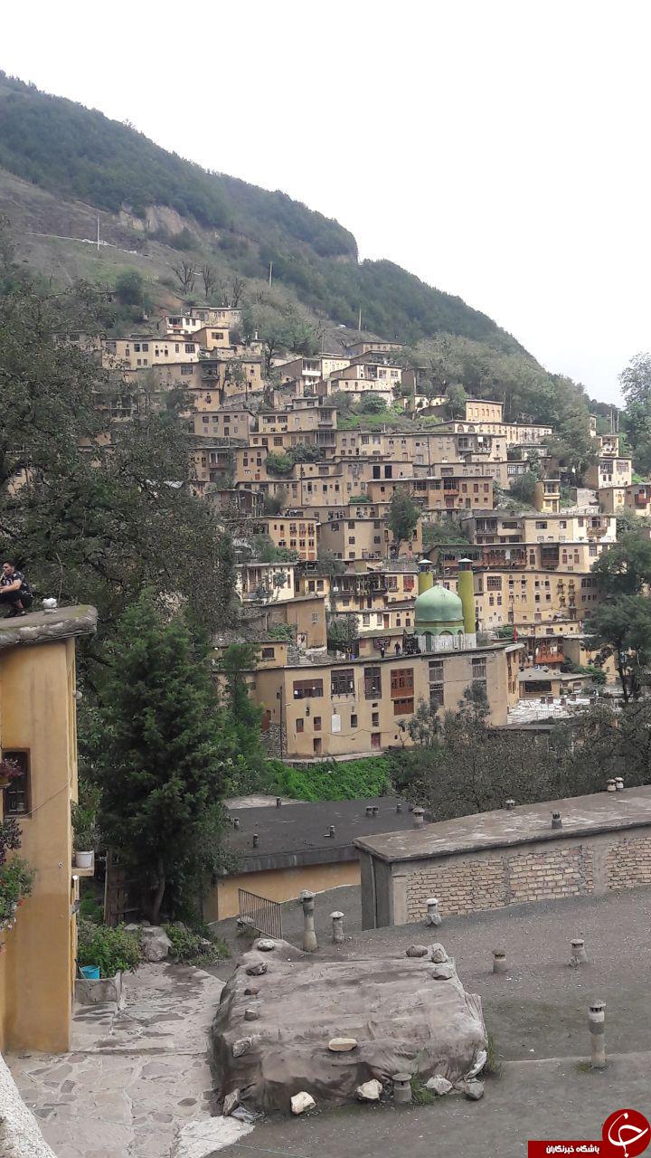 طبیعت زیبا و سرسبز 