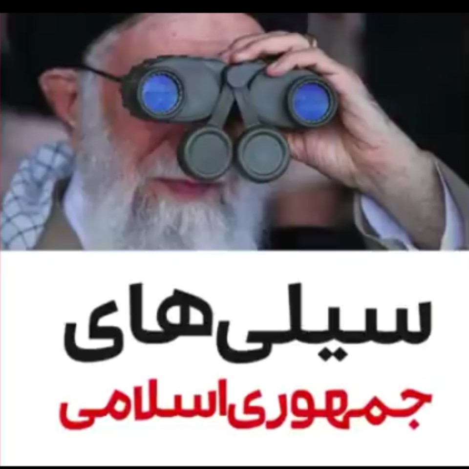 سیلی