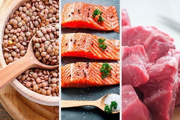 پروتئین بدون چربی برای بدن انسان چه فوایدن دارد؟
