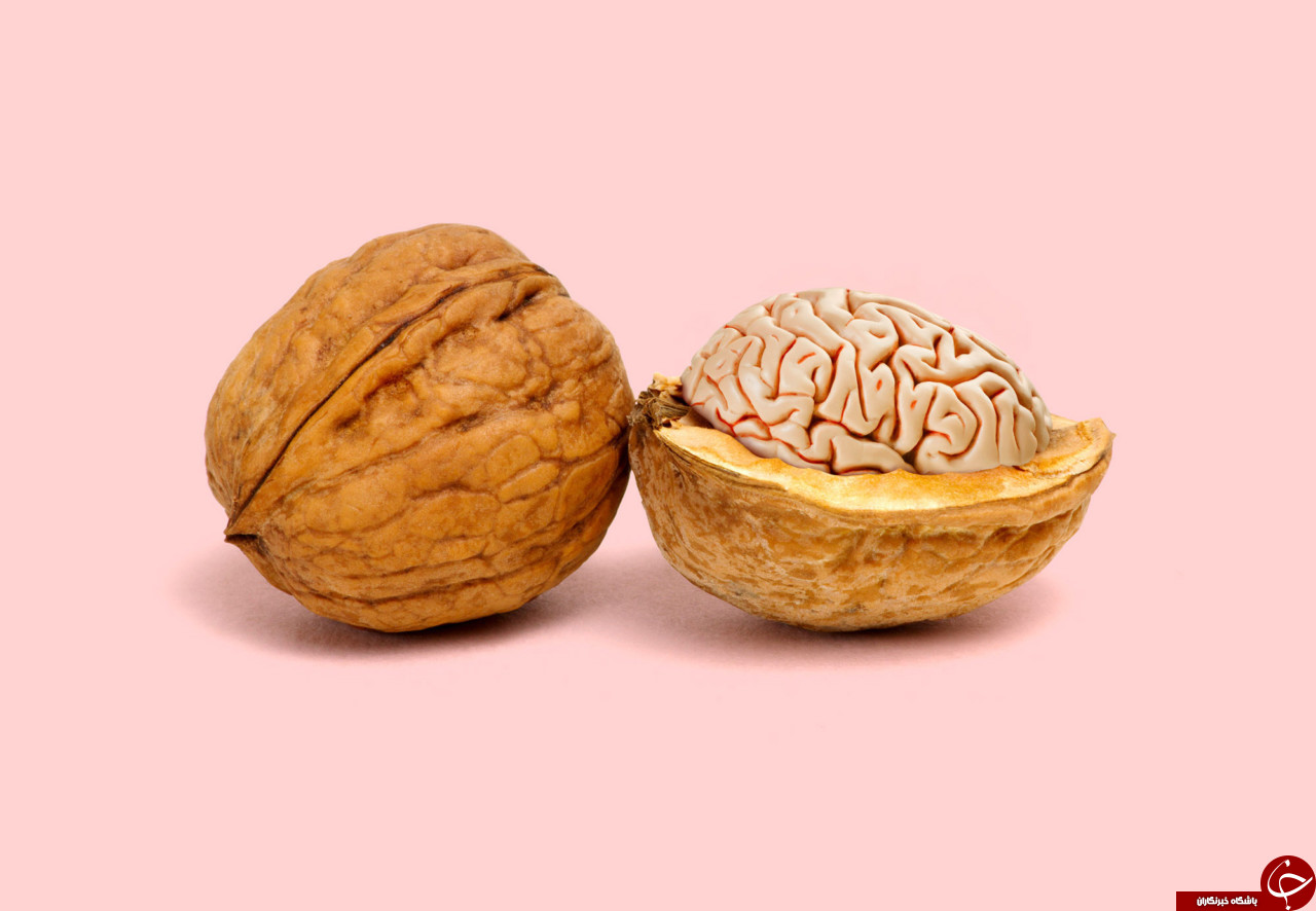 خلاقیت شکفت انگیز یک گروه هنری در ساخت کلاژ با استفاده از میوه&zwnj;ها و حیوانات