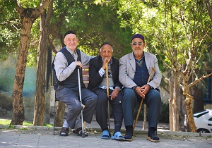 بهره مندی ۹۰۰ سالمند از خدمات بهزیستی میبد