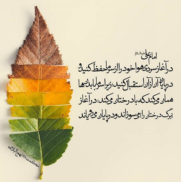 حدیث