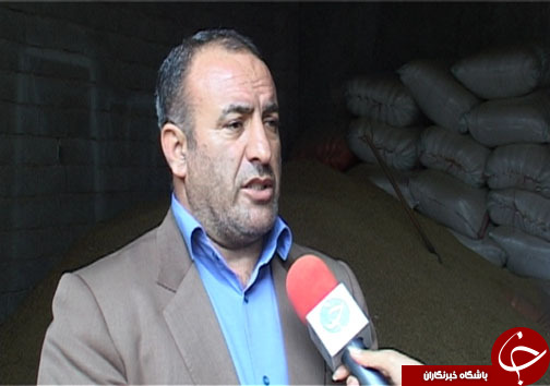 دامداران مازندرانی در حسرت تامین علوفه