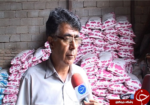 دامداران مازندرانی در حسرت تامین علوفه
