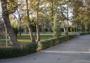 پیش بینی کاهش نسبی دمای هوا