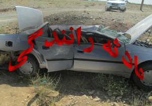 بی احتیاطی راننده پژو جان وی را گرفت