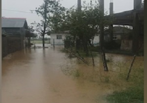سیل در روستای "گالشخیل" + فیلم