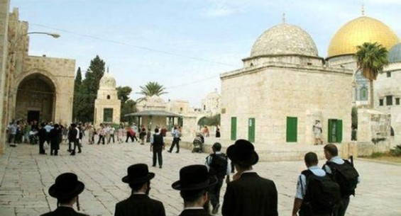 تعرض شهرک&zwnj;نشینان صهیونیست به مسجد الاقصی باحمایت پگان ویژه ارتش اسرائیل