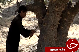 از پول زحمت کارگران ایرانی تا تاثیر خشک شدن تالاب میانگران بر اقلیم خوزستان + فیلم