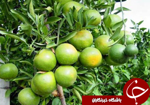 نگاهی گذرا به مهمترین رویداد&zwnj;های شنبه ۷ مهر در مازندران