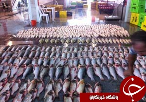 نگاهی گذرا به مهمترین رویداد&zwnj;های شنبه ۷ مهر در مازندران