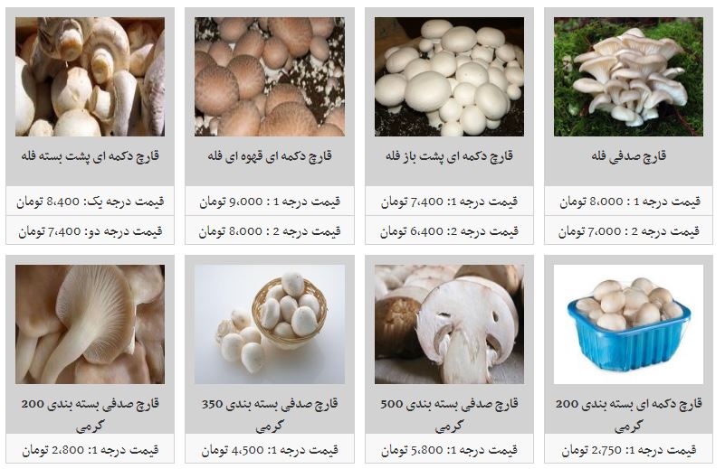 افزایش نسبی قیمت قارچ در غرفه تره بار