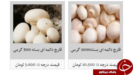 افزایش نسبی قیمت قارچ در غرفه تره بار