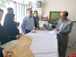هرگونه افزایش قیمت نان در استان کرمانشاه غیر قانونی است