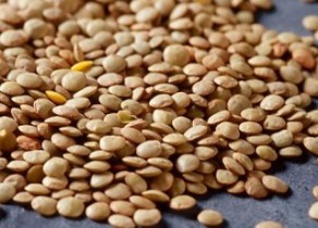 کشف عدس قاچاق در رودبار