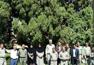 بازدید مدیرکل حفاظت محیط زیست استان یزد از اثر طبیعی ملی سرو کهنسال ابرکوه