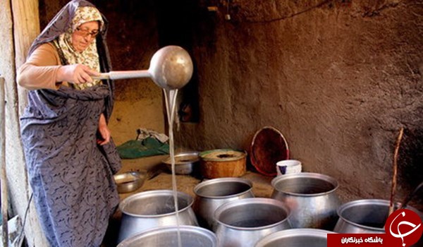 فصل شیره&zwnj;پزی با شهد شیرین انگور در مانیزان