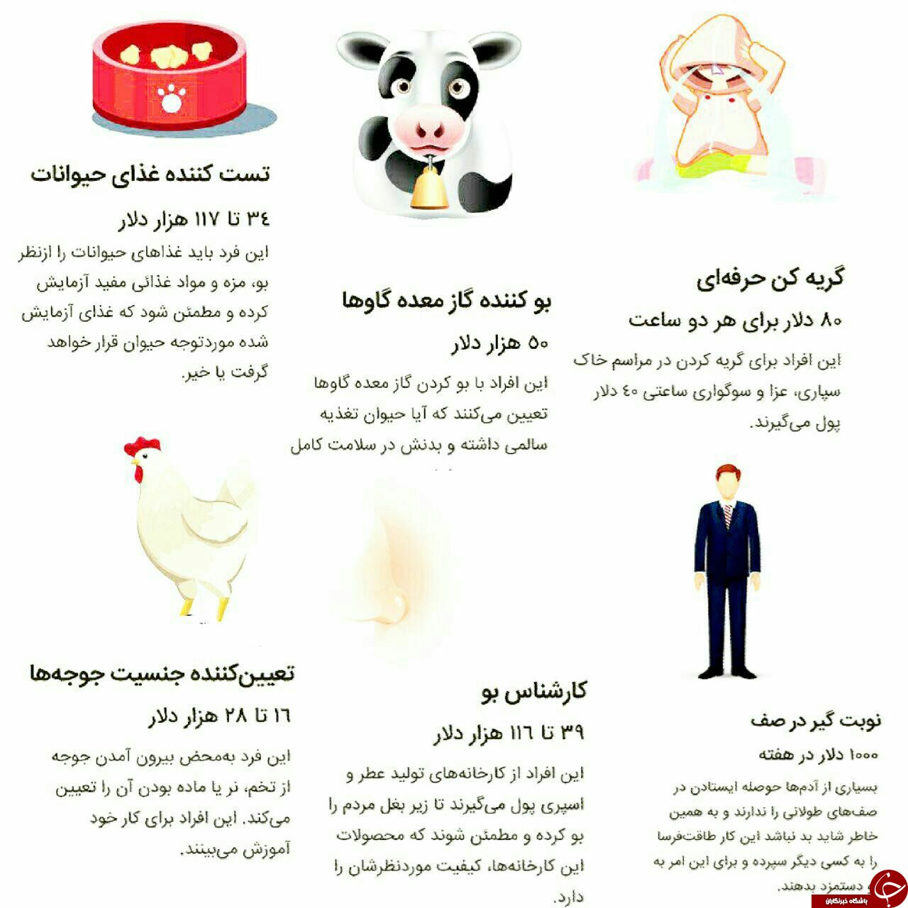 عجیب ترین مشاغل دنیا و دستمزد هر کدام از آن&zwnj;ها+ تصاویر