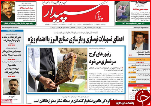 از پلمب نانوایی های گرانفروش تا تجویز بانک مرکزی برای جنون ارزی