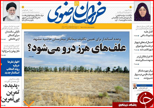 از پلمب نانوایی های گرانفروش تا تجویز بانک مرکزی برای جنون ارزی