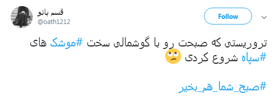 تحقق وعده گوشمالی سخت به دستان سپاه پاسداران +تصاویر