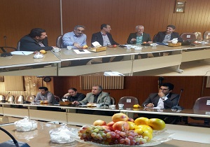 اعلام کلیات برنامه های در دست اقدام صندوق حمایت از توسعه بخش کشاورزی