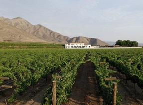 خودکفایی شهرستان نجف آباد در زمینه محصولات کشاورزی