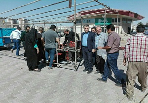 توزیع گوجه دولتی در شهر قزوین