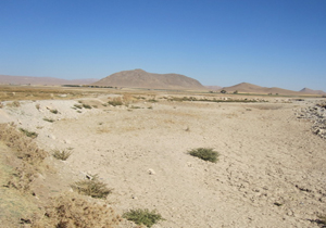 تبدیل سه دشت کشاورزی به کانون گرد و غبار