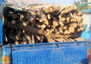 کشف ۳ تن چوب جنگلی قاچاق در لردگان