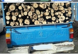 کشف 100 اصله چوب آلات قاچاق جنگلی در اردبیل