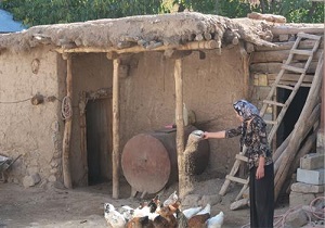 اعطای ۱۷۰۰ تسهیلات کارگشایی به مددجویان اردبیلی
