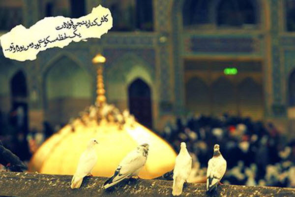 تصاویر و والپیپر&zwnj;های زیبا به مناسبت شهادت امام رضا&zwnj;(ع)