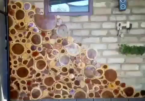 خبر